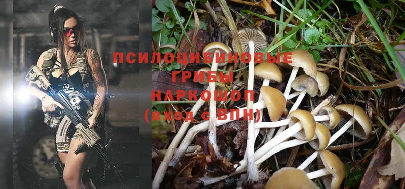 сайты даркнета формула  Бугуруслан  Псилоцибиновые грибы Magic Shrooms  где купить наркотик 